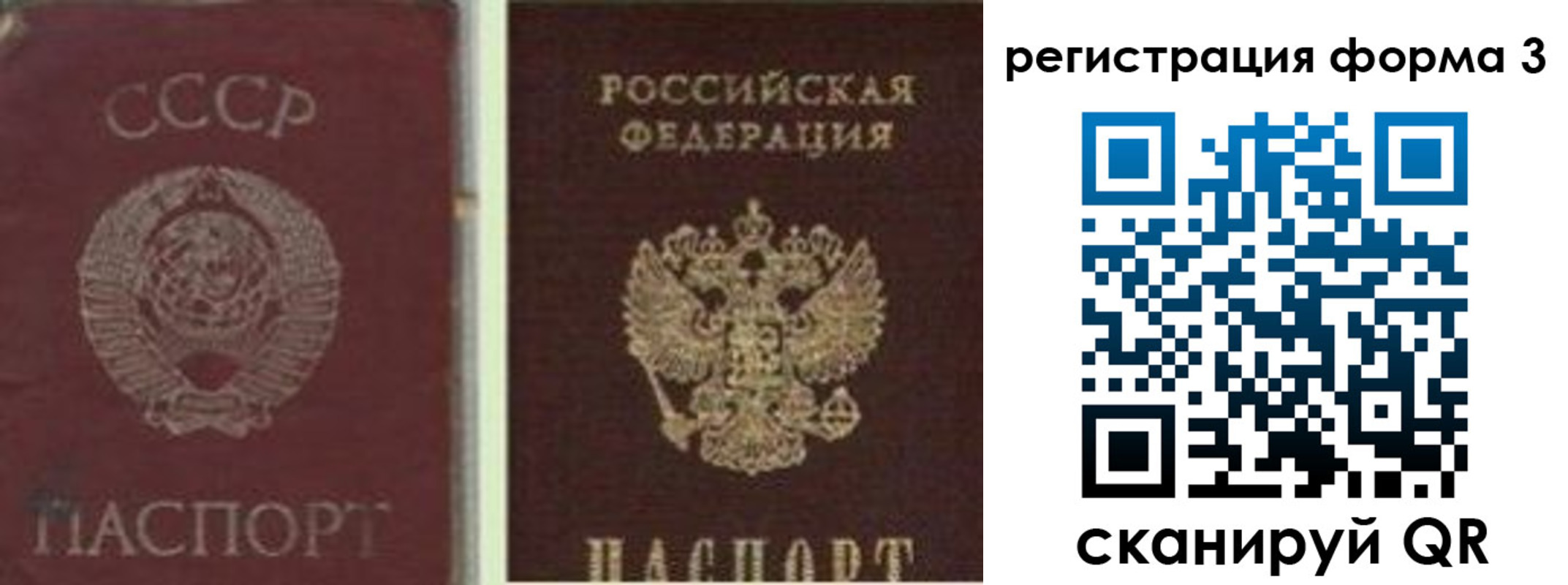 прописка для школы в Долгопрудном